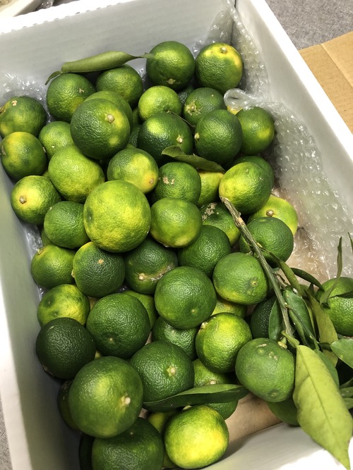 79156B11-1124-4AD7-ABEC-3765A8EA7AD0