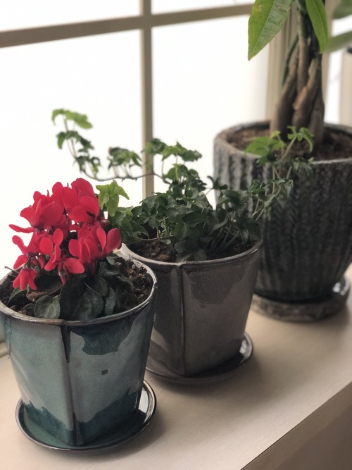 BC6FD165-D732-4857-9912-08BACC515C63