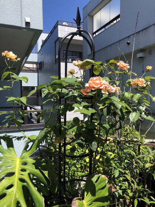 152D22C1-C797-43FB-B54C-68BB2BAC2DDC