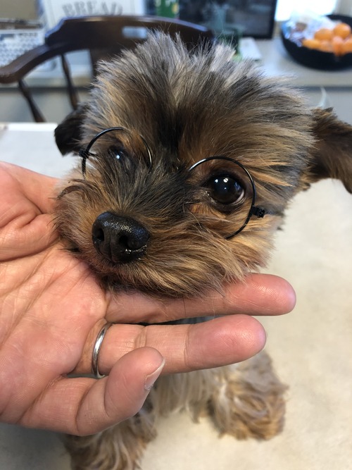 2E982E28-98AB-434F-AB9E-F288A19E8BE1