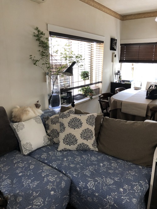 598208E2-582E-470E-8402-C3CEC90724A8