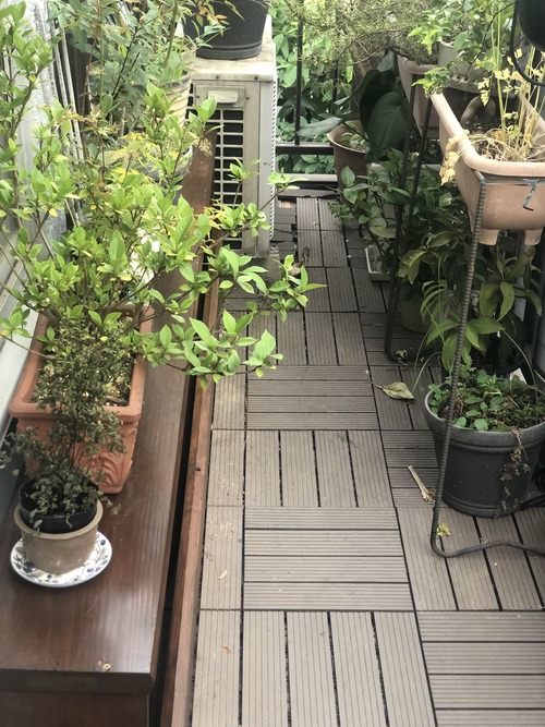 B9F30DF3-463C-4F4A-B7BF-FC5CE2CA8AF3