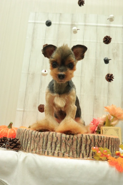 9C65F33D-3A4F-467E-AF42-EBED26B1E21A