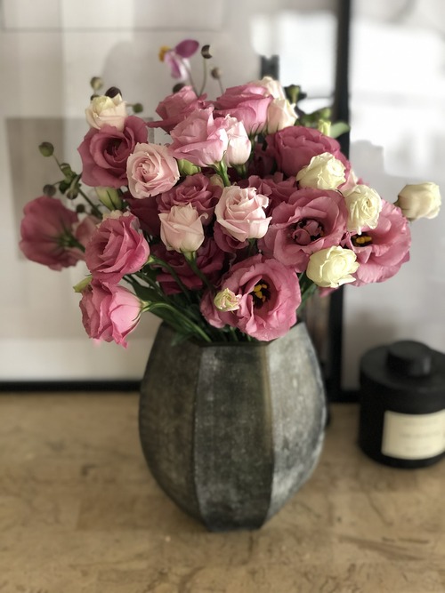 CA7E248E-AC6B-40AB-9173-6B5F284A1010