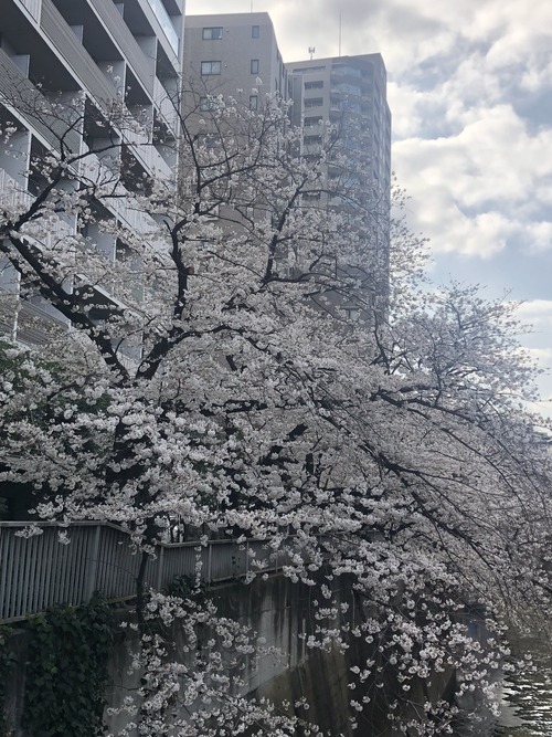 EF92B1C5-F552-4B6A-92F8-922B84950FB1