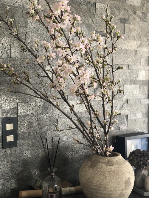 9CD6FCEB-D0D1-4BDD-AE9E-2DD8DA6392FA