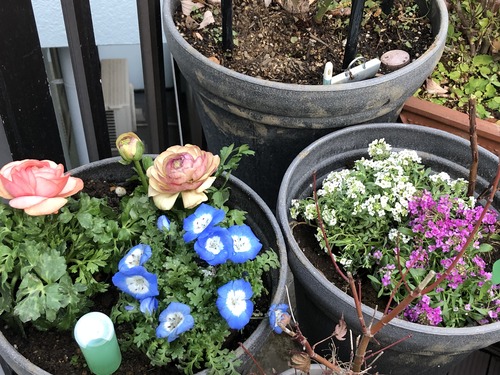 3F104B26-5CE1-469B-9F79-CA1B658CD3CC