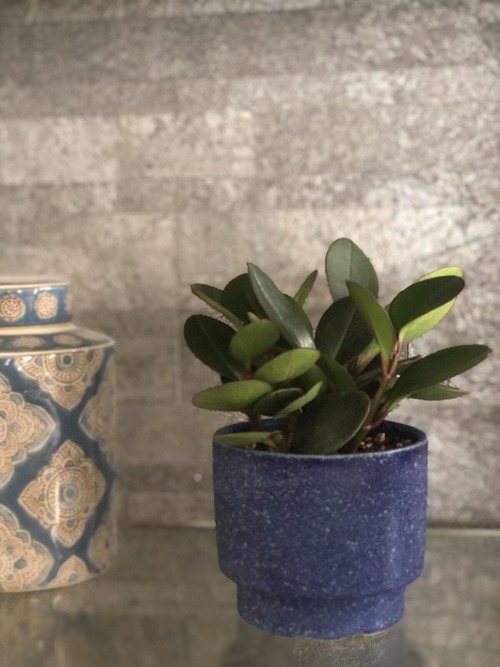 9BB1C6D4-7829-4A1C-B659-CA5EB325C985