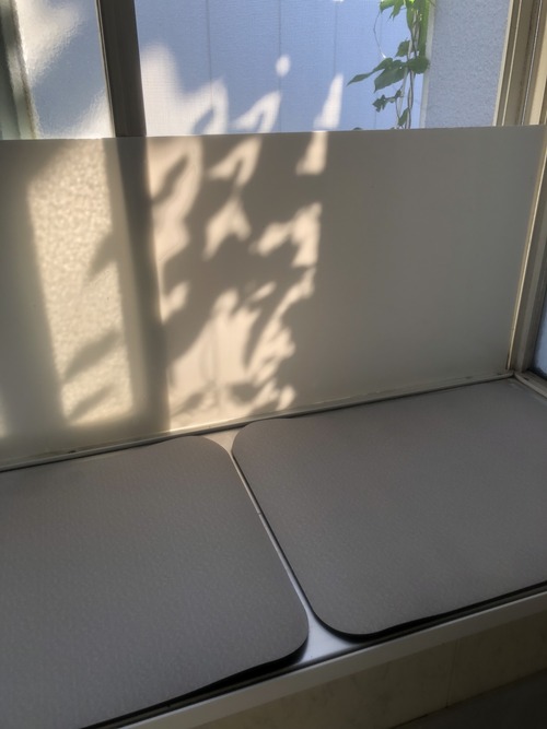 86F19930-5B00-484B-9204-FE4E84EFF1D6