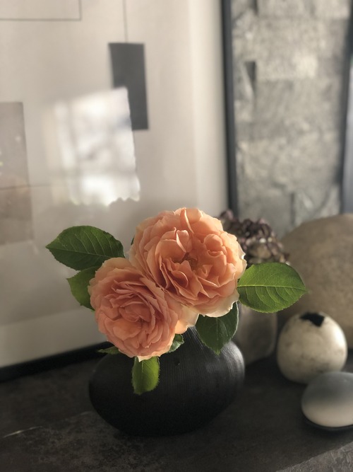 65D87F7D-BF89-43A3-B768-D1898C779AE0