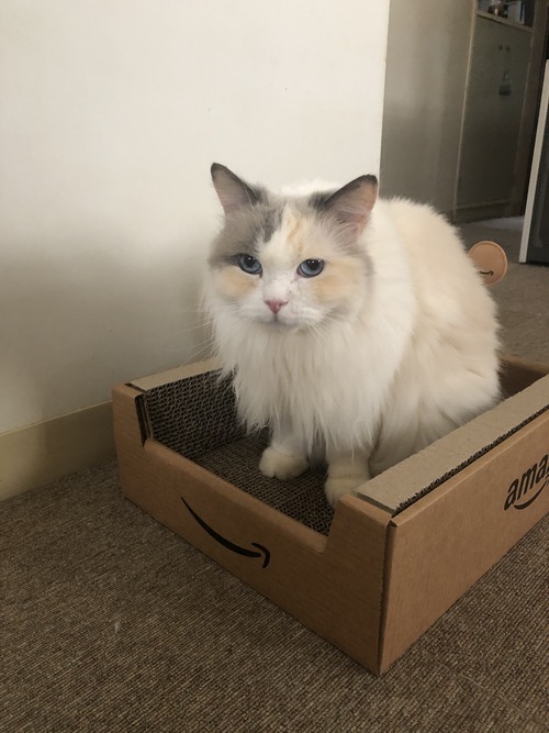 617BC4C3-15CE-456B-9C22-27D7776737D0