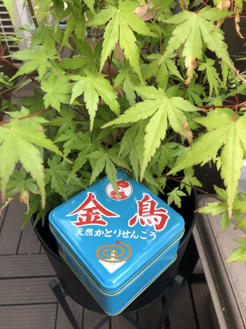 7E419305-A2F9-4161-8399-EFA03848799E