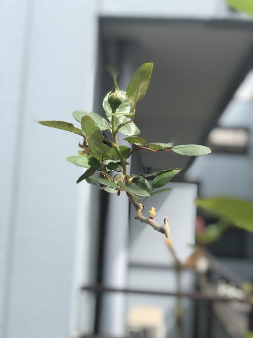 B2620EDE-8ECE-4695-933A-4177EC6A41E6