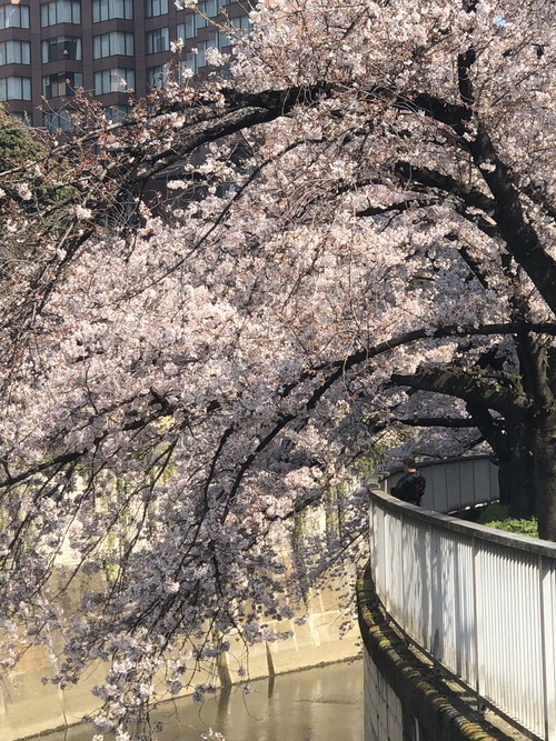 2DF2B686-9973-4A5B-A5B4-BB6B869530EE