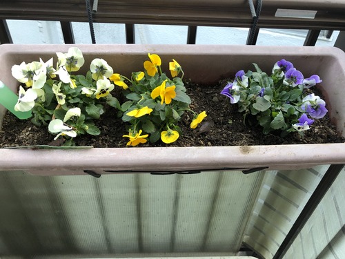 E8176834-8529-41ED-AFA3-9BF8742942FD