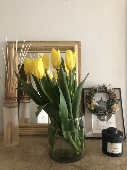 773D86F1-3EE6-40F7-9FFC-30036DA7FD09