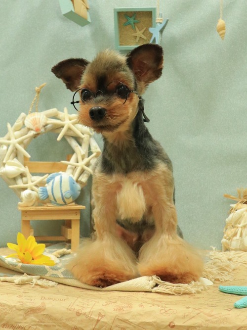 6CC9E221-772D-4FB8-8A86-2D8D2C07198D