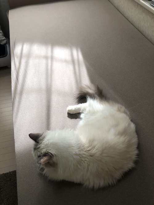 32D67424-C8D2-441B-9093-69340F7C944F