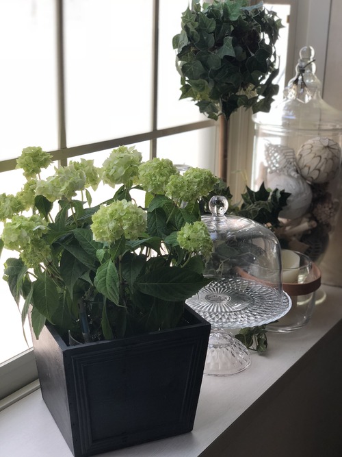 0C9D3586-0232-41C6-87CB-EDCA13D90D6A