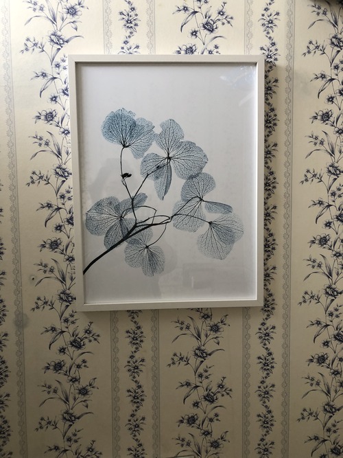 A438EF0C-92A9-46F7-B63E-A82182328678