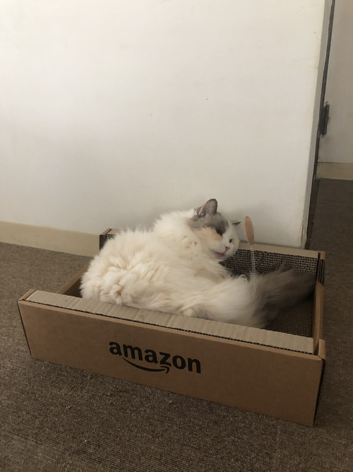 3EDCF60C-547E-4CDE-BDC2-603F2EC34C1D