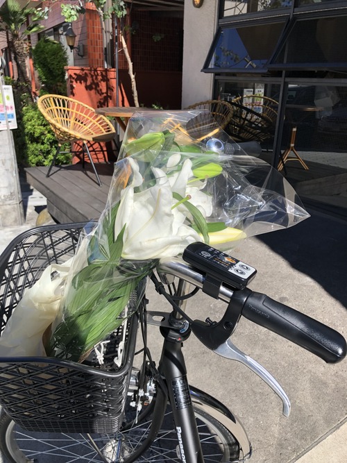 E0F6F656-72EB-4B37-A334-05CC864AACB8