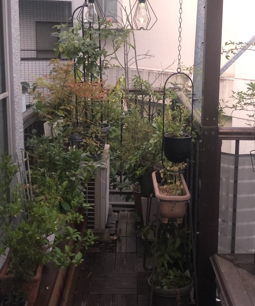 C82F8A73-B01E-4565-8DBD-1034C3AC8376