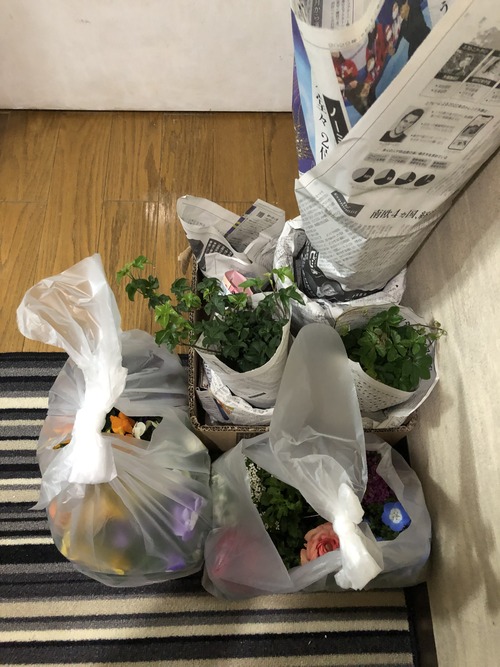 AA7FF250-8D01-4596-A1BC-5B22CDFAA576