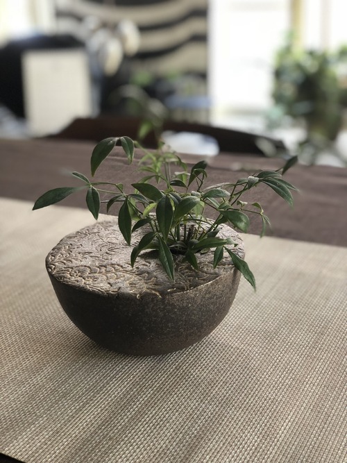 D0E74FCB-F0B9-4894-8D0D-A03DCDC22391