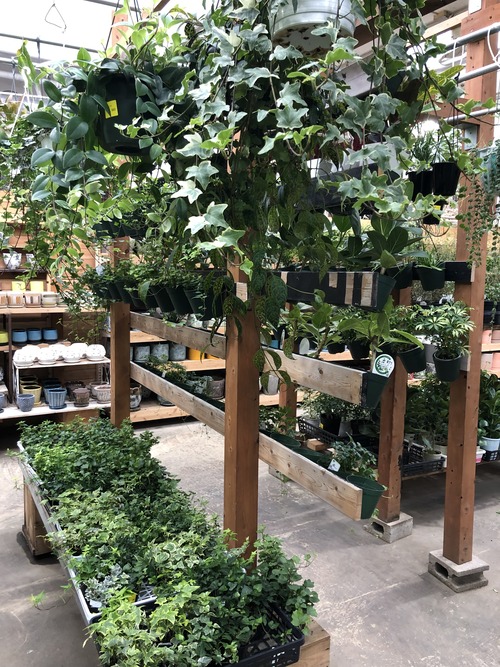 19E62F2D-87E6-4E44-8783-E3BE97B828B3