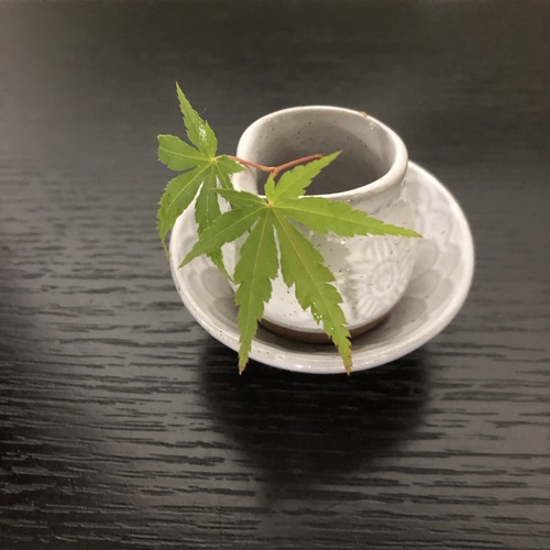 5E7CE538-F37B-41F3-A09D-B761AD00DE13