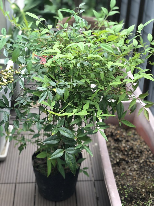 8FD85F16-E592-4639-8910-286D0D199AD1