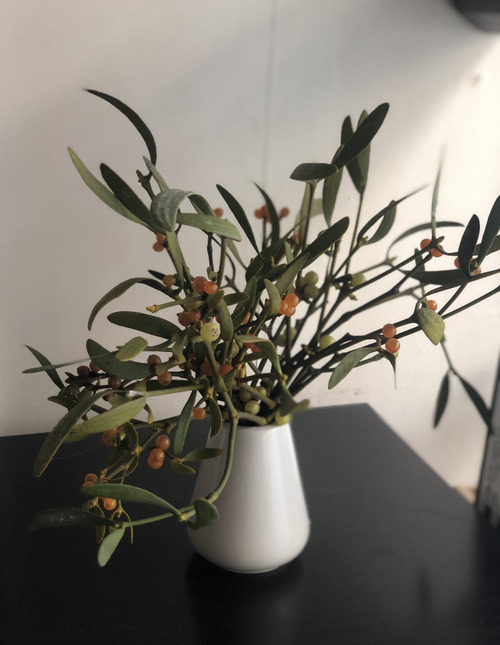 9807A4B9-6461-4D50-9A0D-25EEB8809BB6