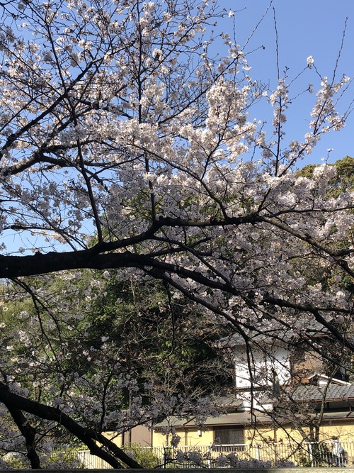 71C3AEA3-11B8-4ADA-814E-F4C269AD96EC