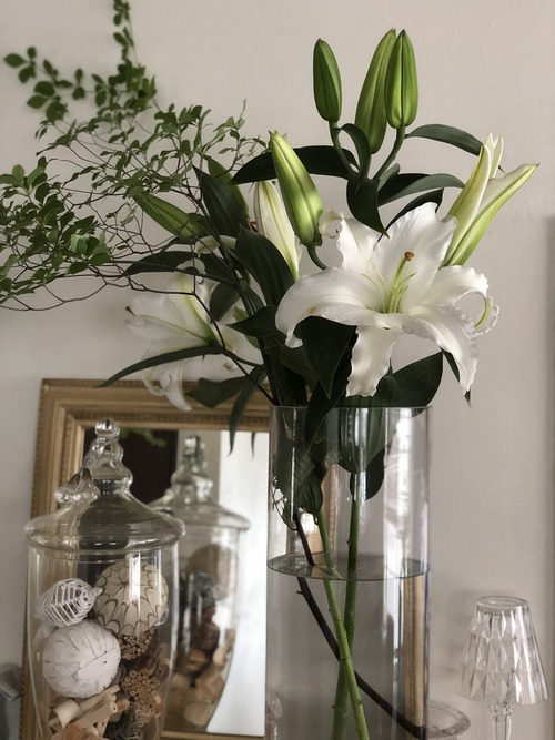 FE2E8B86-D465-48AB-94B3-A437DD2CC674