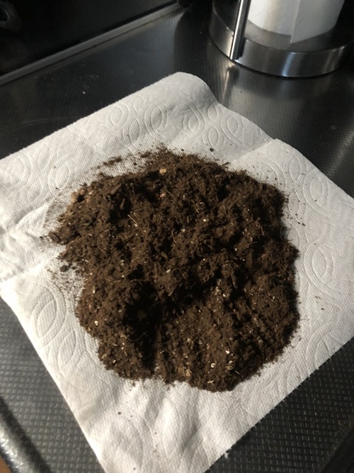 33A3D4AD-956D-4402-98ED-2330BA119703