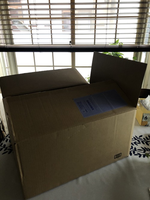 E6E54130-F383-4A1D-B2B5-80F5D4C53B08