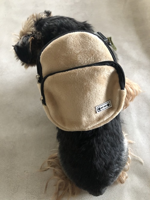 70CDE91D-95DB-43F4-BAB3-236DB644F4C2