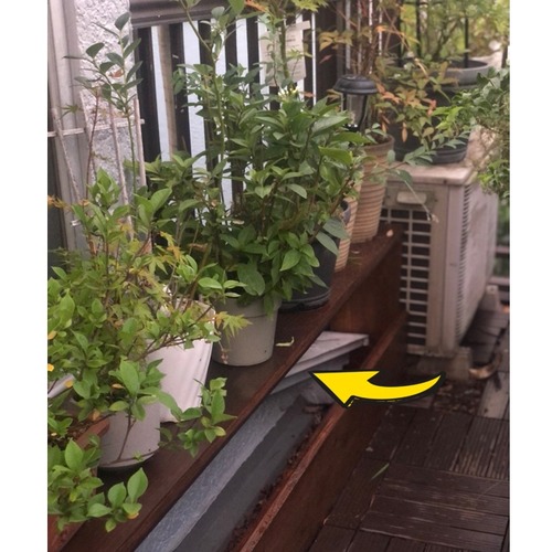 66BD6D5E-F869-4192-A33A-A18B3242C9FF