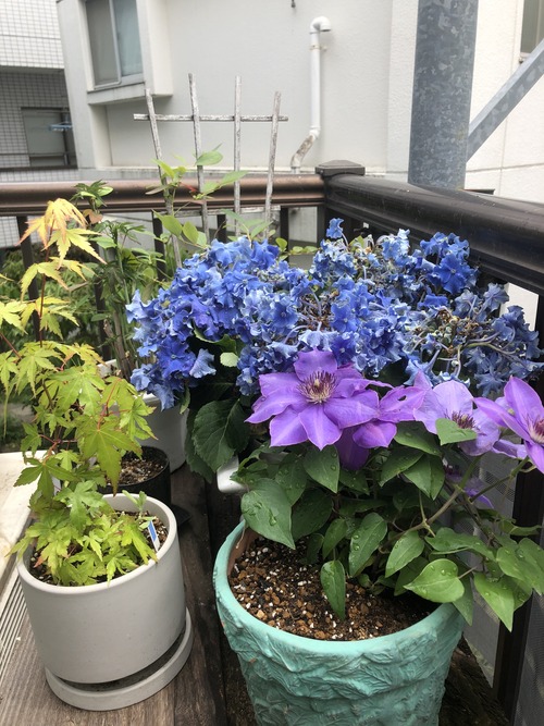 DD78692B-A503-4C14-855C-0281EF3B978E