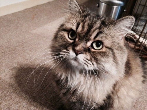 720B5ED8-14B4-4A20-AA1A-FEB40DC09934