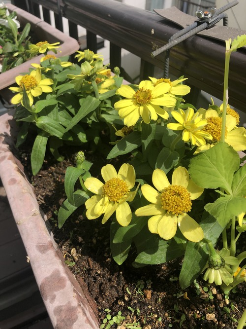 40D3B201-D6C0-4A1D-80DF-163D2BCE43AE