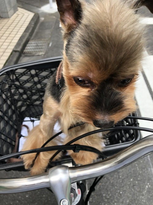 89DBC764-A907-4B52-99D9-0CF2E9B8DBD7