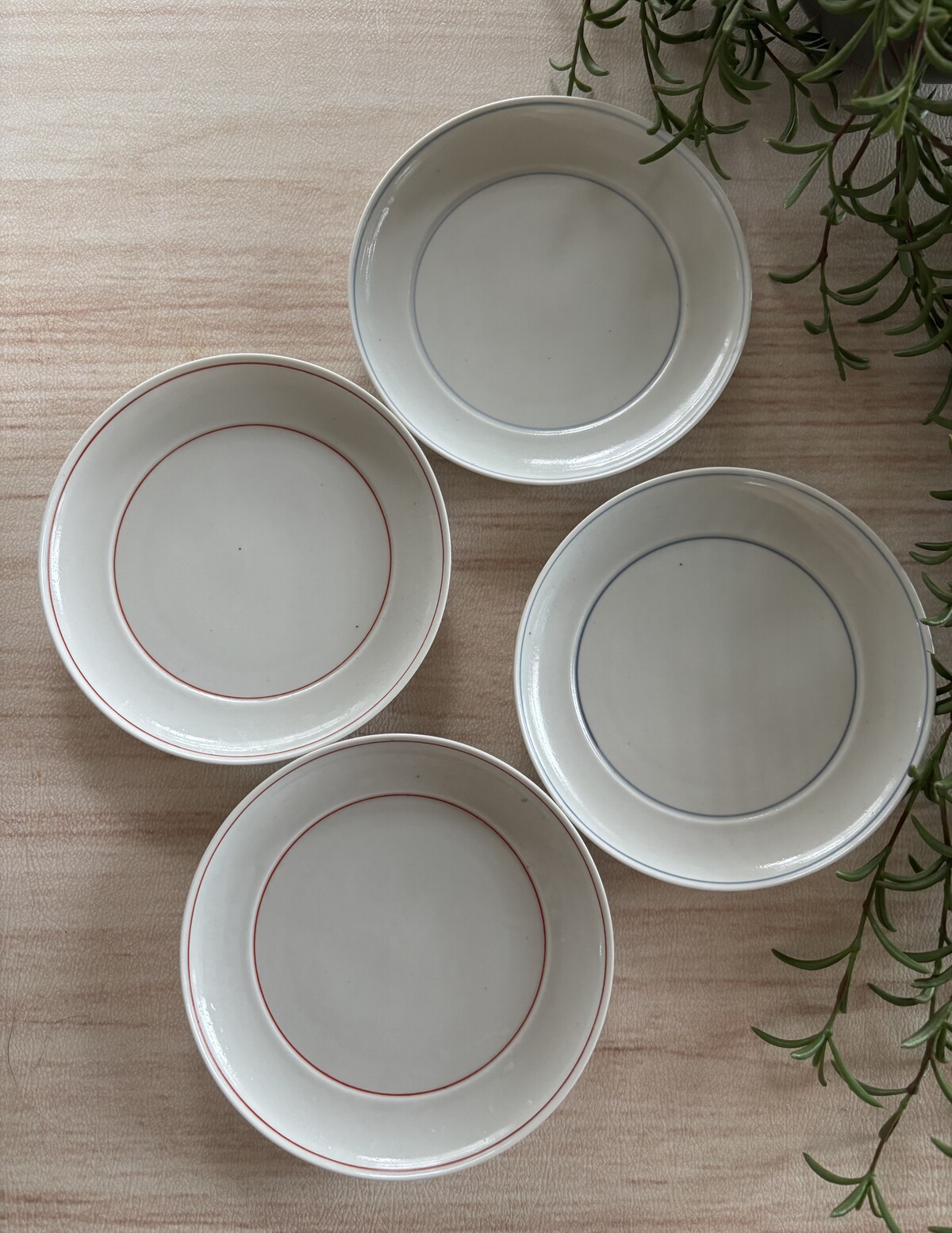 丸鏡 五寸 波兎 5枚 セット スコープ scope 東屋