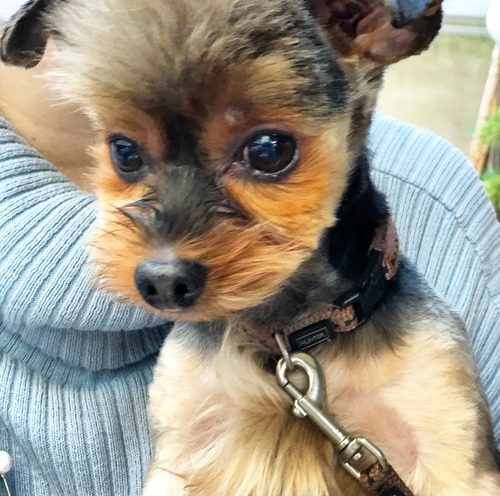 DCF5E7C6-004F-4315-A48E-C3F0DFD820A0