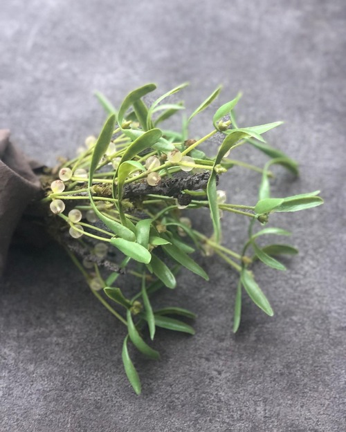 BE8A15EE-85B0-4954-8C0E-A2A328A8AC44