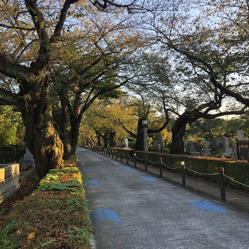 E5463370-E2B9-4AE5-A0C8-2F6CE8C8B464