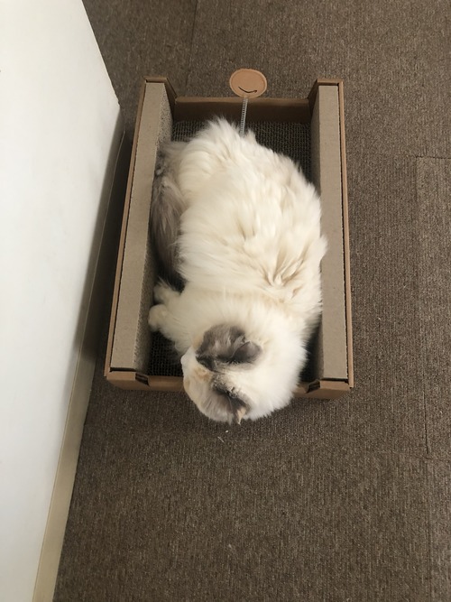 591719CB-2C42-4C2E-A4B8-8C970A466214