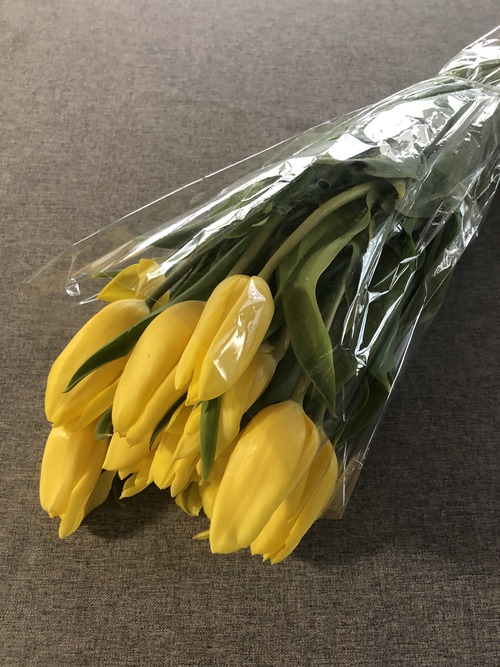 158C50D3-89A5-48FB-85F5-A5697C6E1156