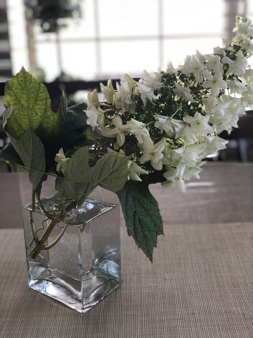 FFDE43CE-2055-46CB-92F7-1B25BDE548FC